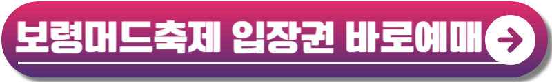보령머드축제