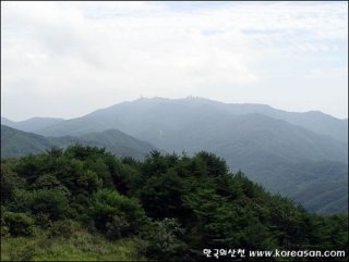양평 두물머리 가는길 
