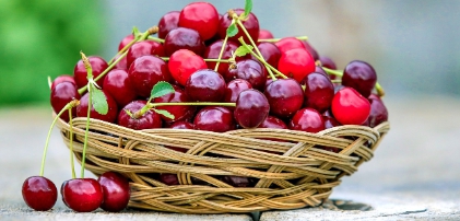 불면증에 좋은 음식 : 체리