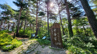 강릉 가볼만한 곳 대관령자연휴양림