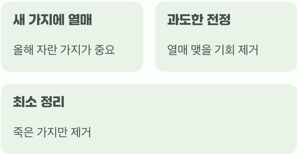 열매 맺을 가지를 잘라버린 실수