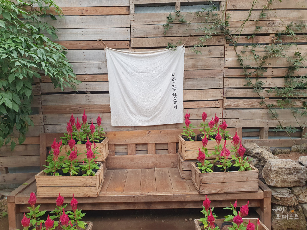 표선 보롬왓 포토존