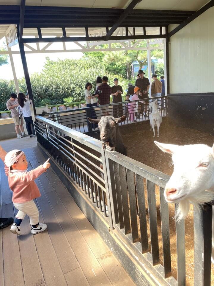 가을 아기와 함께 제주도 여행 휴애리자연생활공원