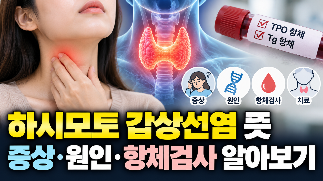 하시모토 갑상선염 뜻｜증상&middot;원인&middot;항체검사 알아보기