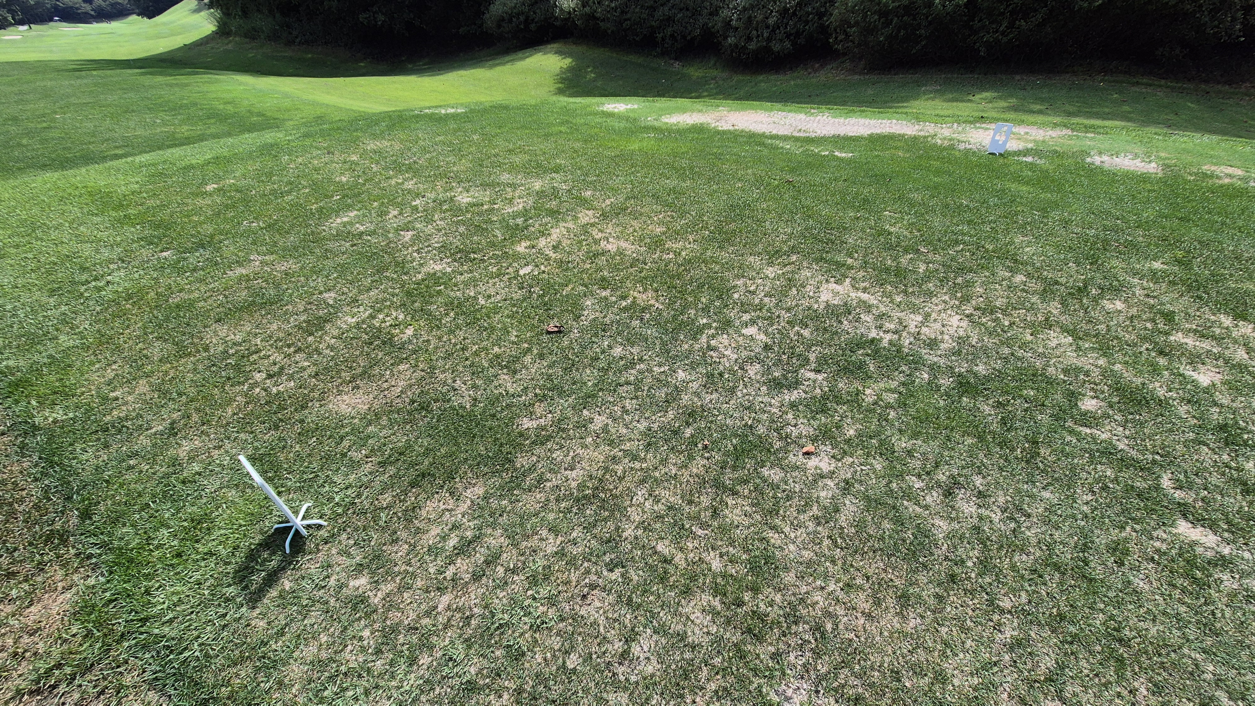 골프존카운티 천안 라운드 후기