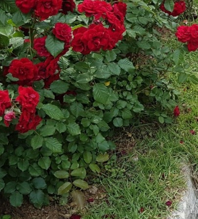 석모도 자연휴양림 숲나들e 국내 여행지 추천 관련 사진