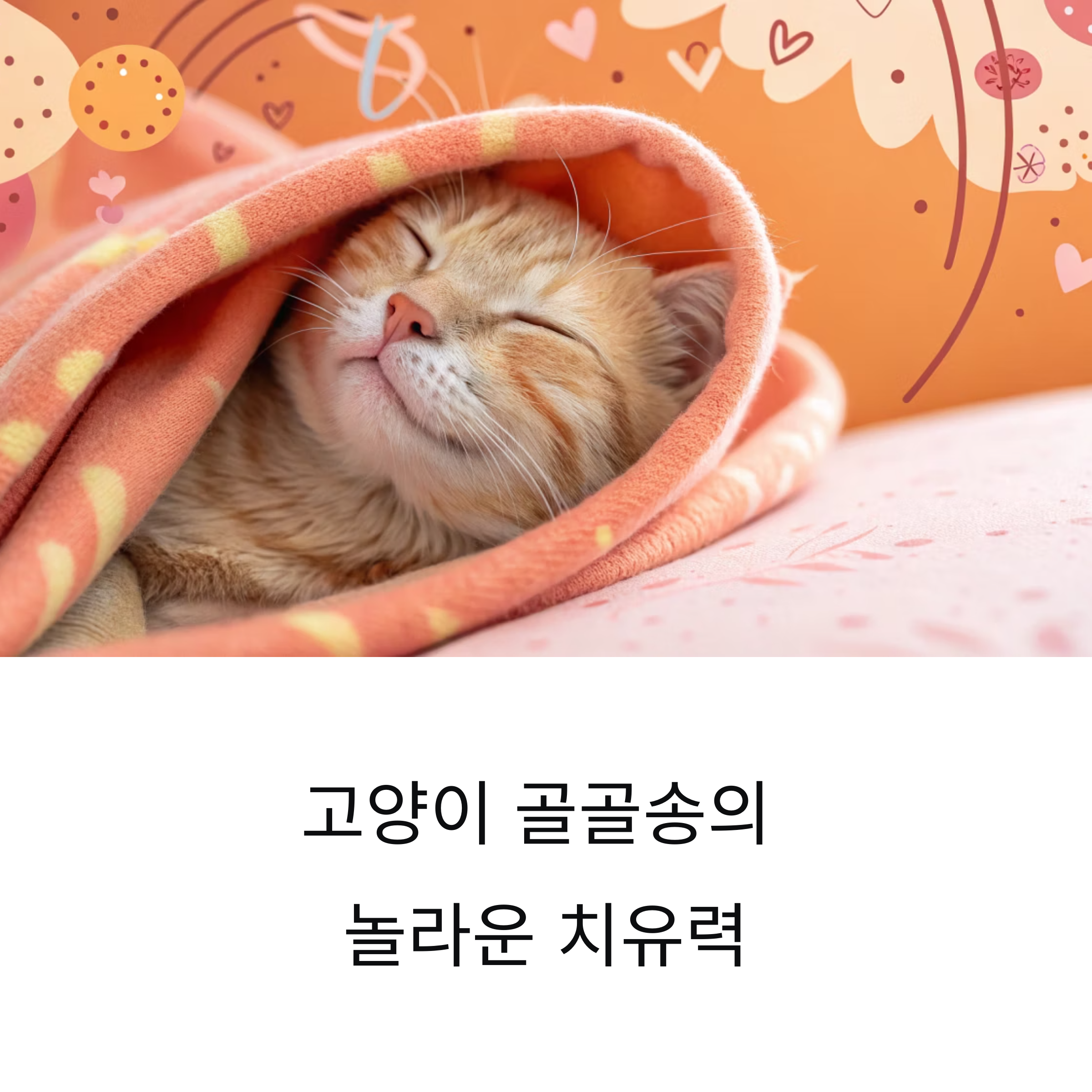 고양이 골골송의 놀라운 치유력
