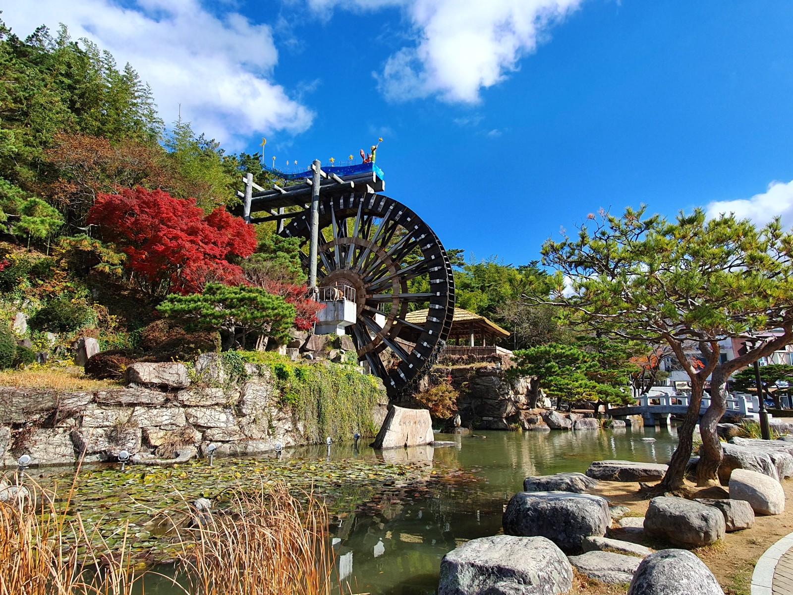 경주 자전거 킥보드