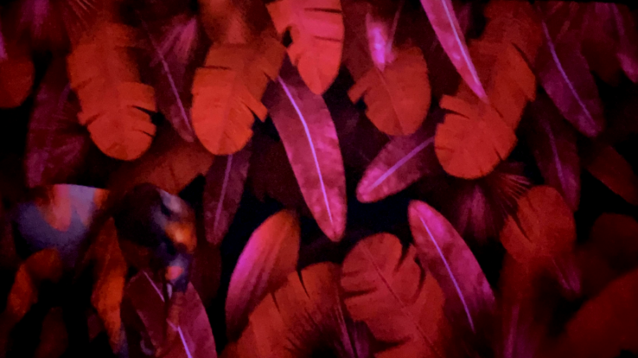 아르떼 뮤지엄 제주