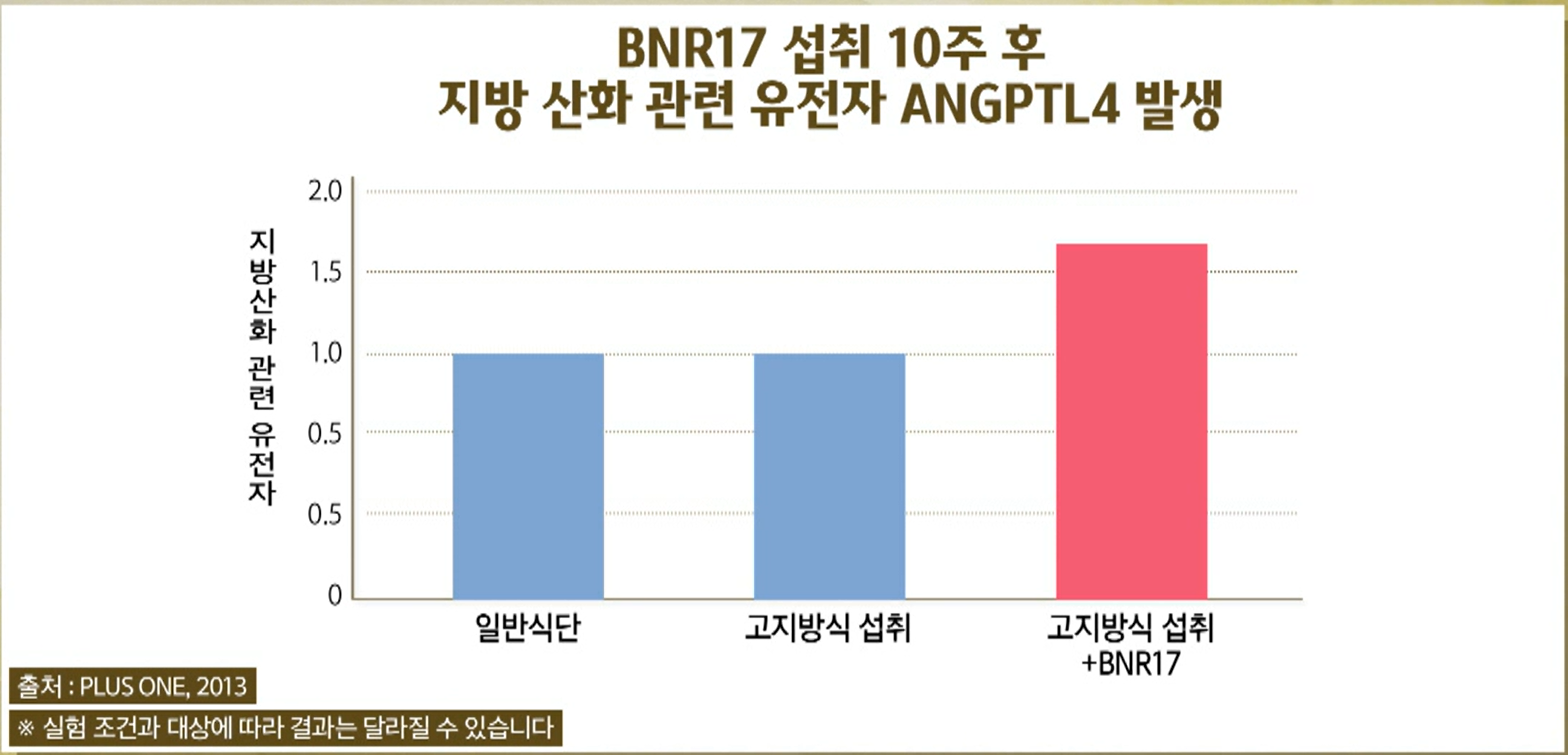 BNR17유산균 효능