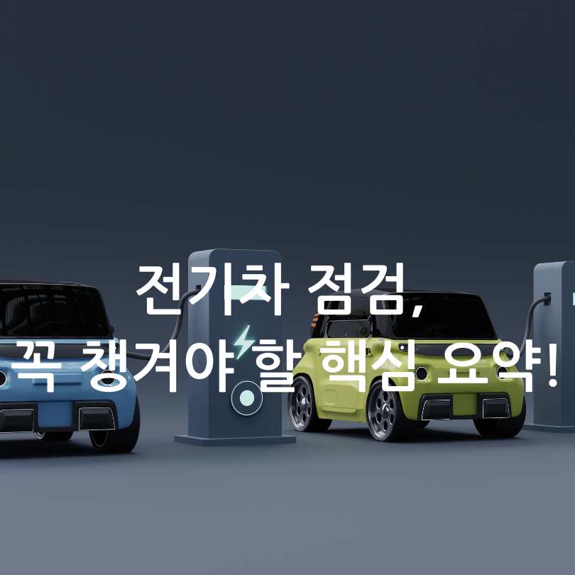 전기차 무상점검 서비스