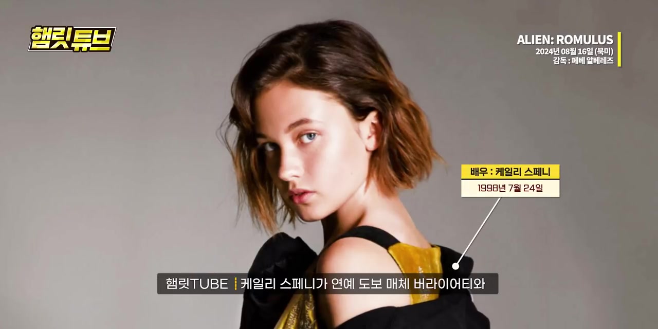 캐일리 스페니엘