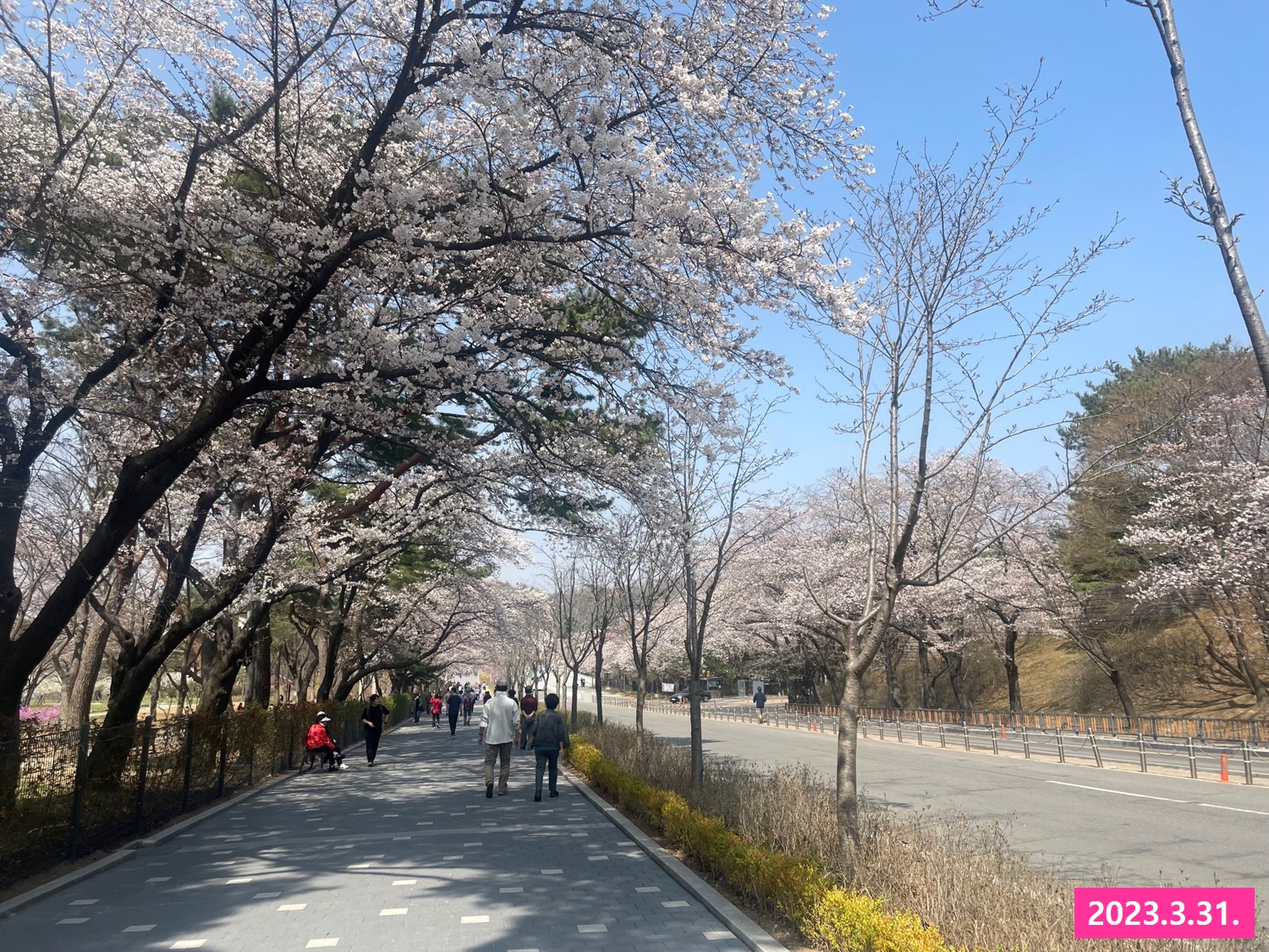 서울대공원 산림치유센터 인기 폭발(무료 숲해설&middot;산림체험 프로그램) 관련사진