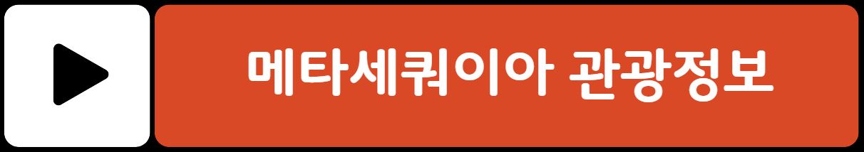 담양 메타세콰이어길