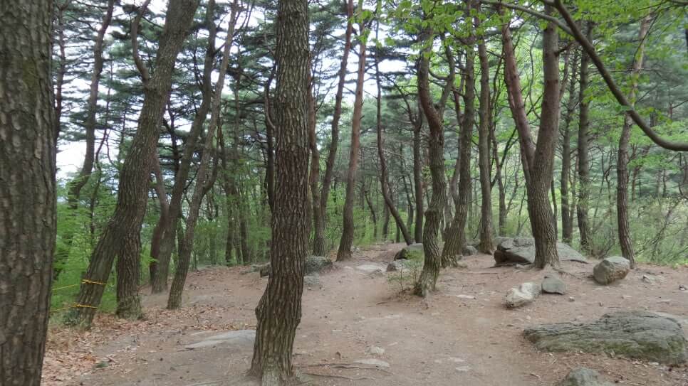 100대 명산 등산하기 서른네번째 대구 팔공산 누구나 즐길 수 있는 산이면서도 전문가들이 찾는 깊은 매력까지 갖춘 명산