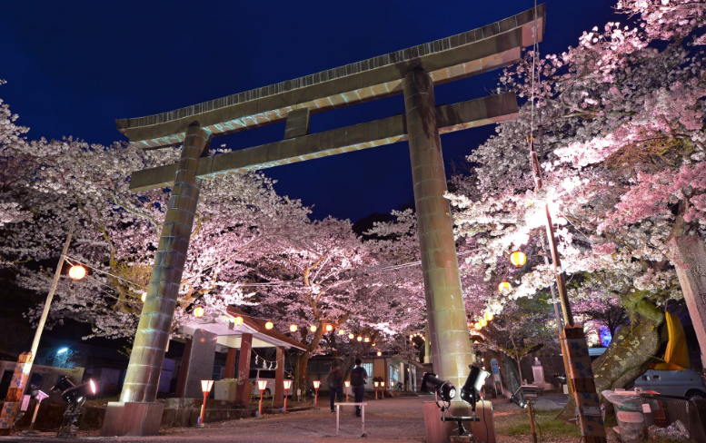 기누가와온천벚꽃축제 -이미지출처-일본정부관광국