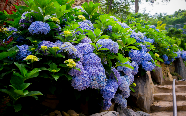 진주 월아산자연휴양림