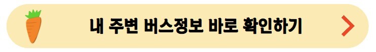 내주변버스정보바로확인하기