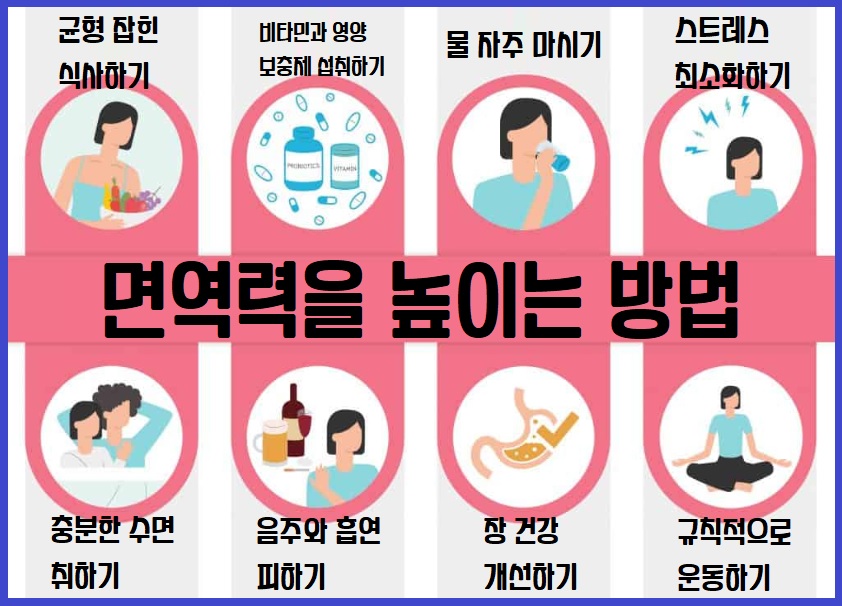 면역력 증진 방법