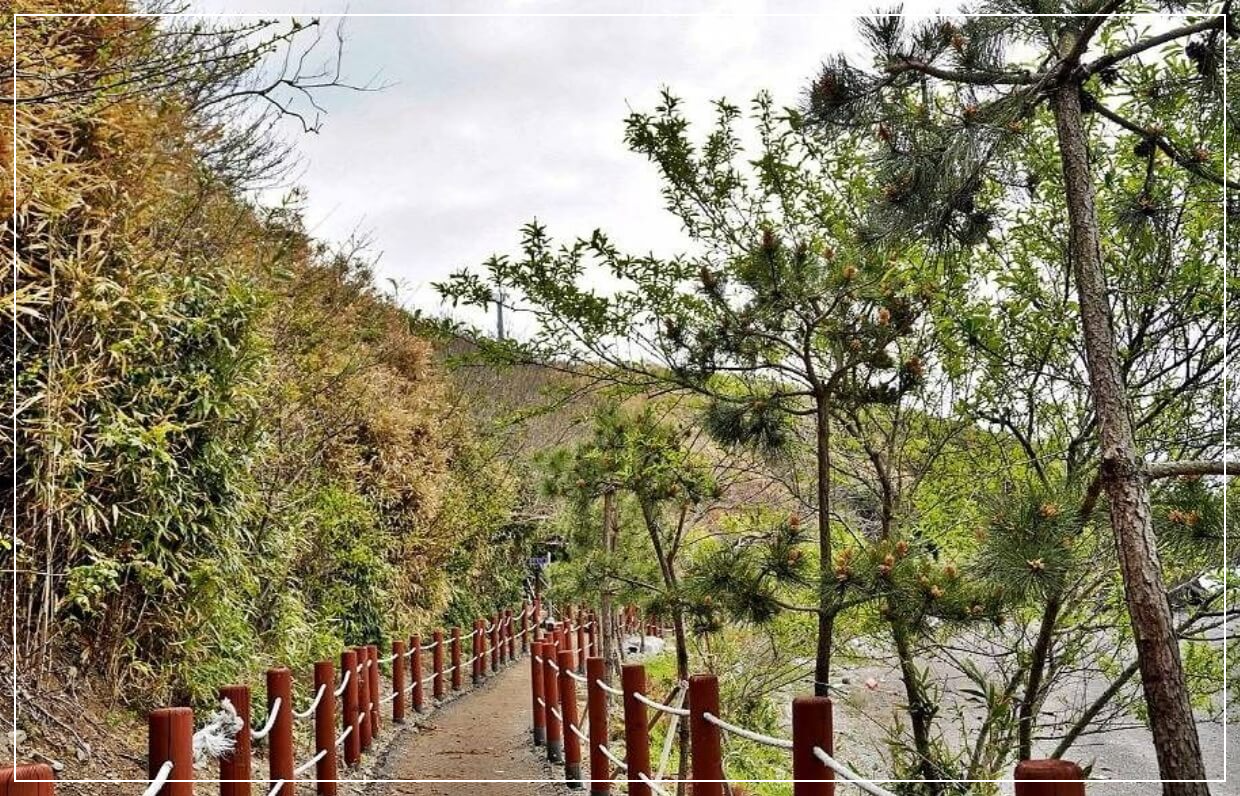 홍성 가볼만한곳 베스트10 죽도