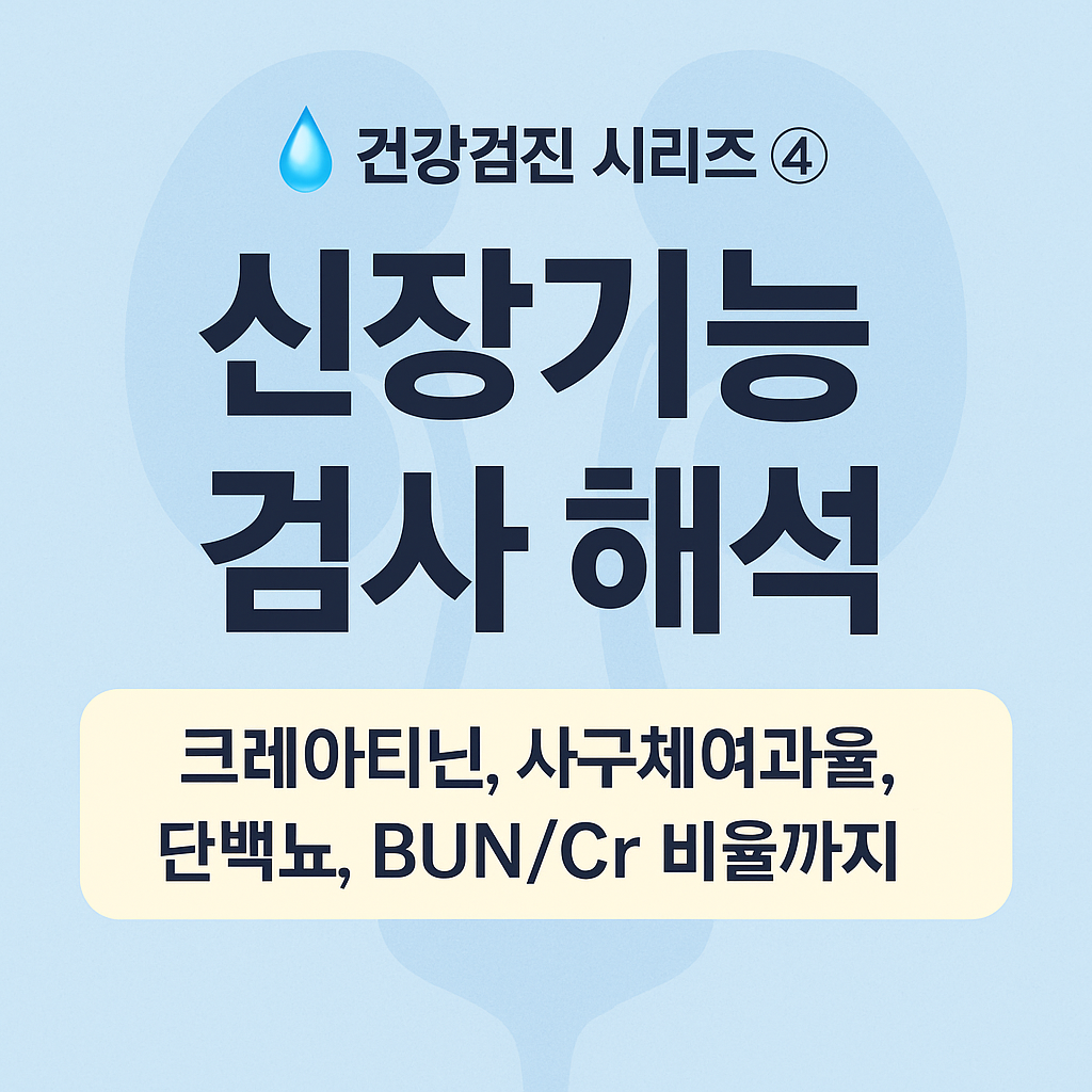 혈액검사 시리즈 ④ 건강검진 신장기능 검사 수치 해석|크레아티닌, BUN, eGFR, 단백뇨, BUN/Cr 비율
