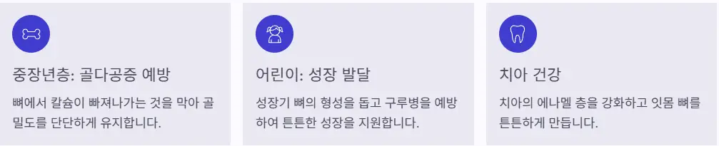 뼈 건강 지지대