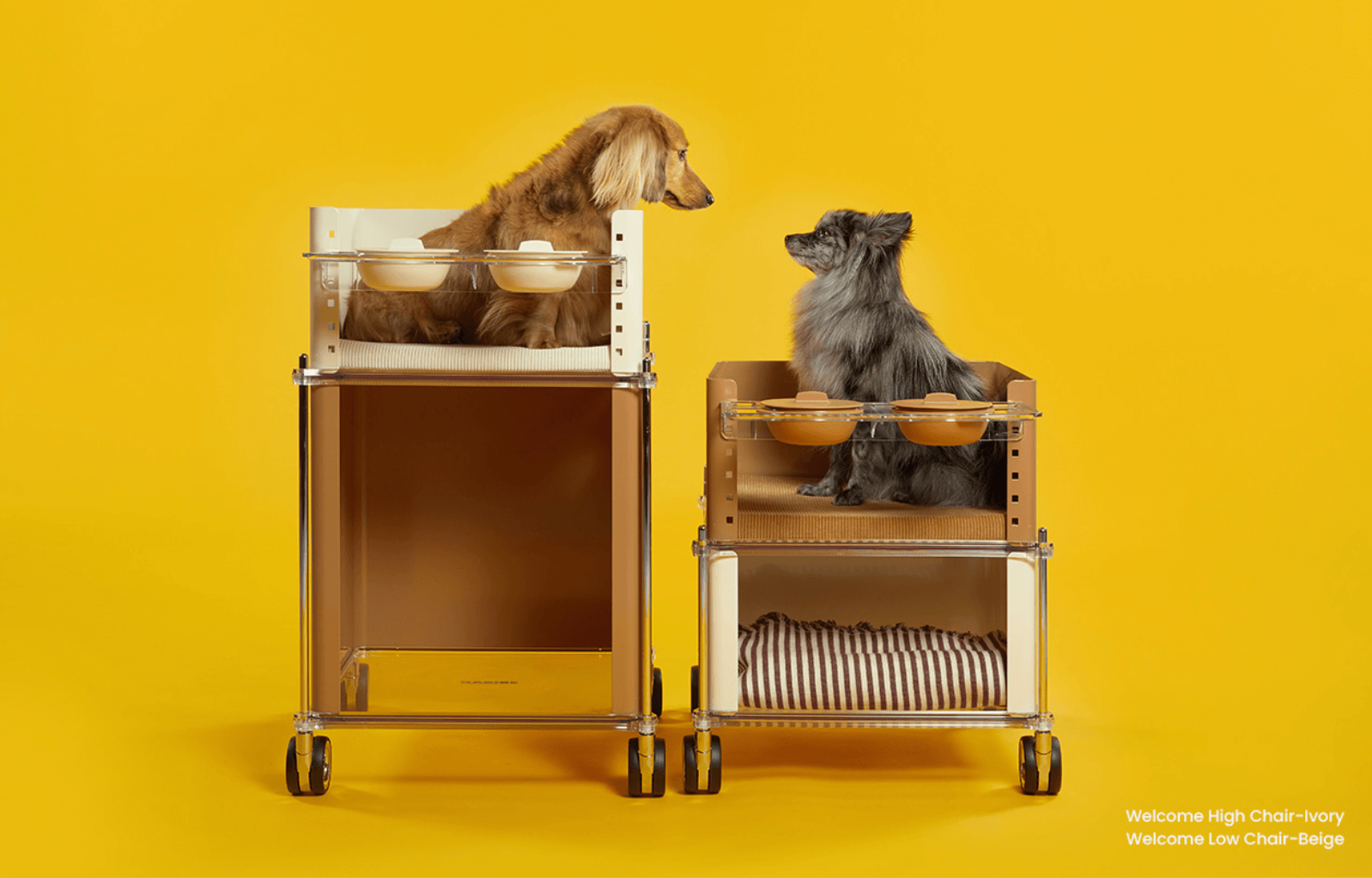 반려견 전용식탁