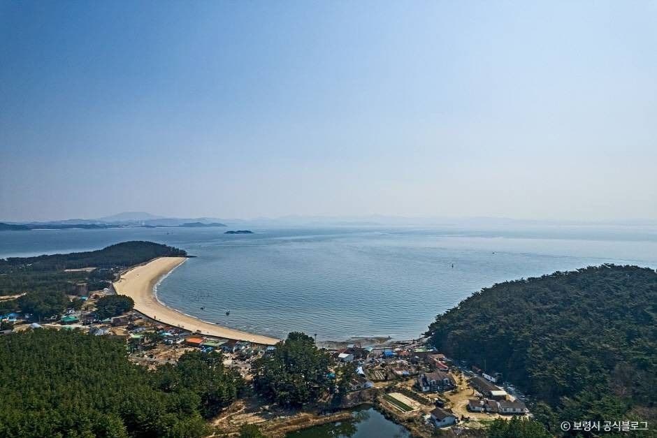 보령 ‘삽시도’ 바다 낚시 체험, 손맛에 중독되다 🎣