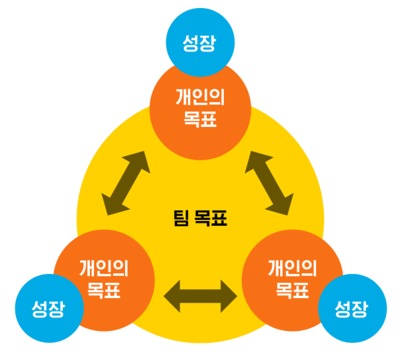 팀 성장