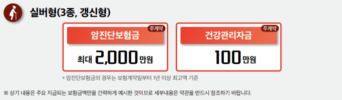 우체국 우리가족 암 보험 실버형