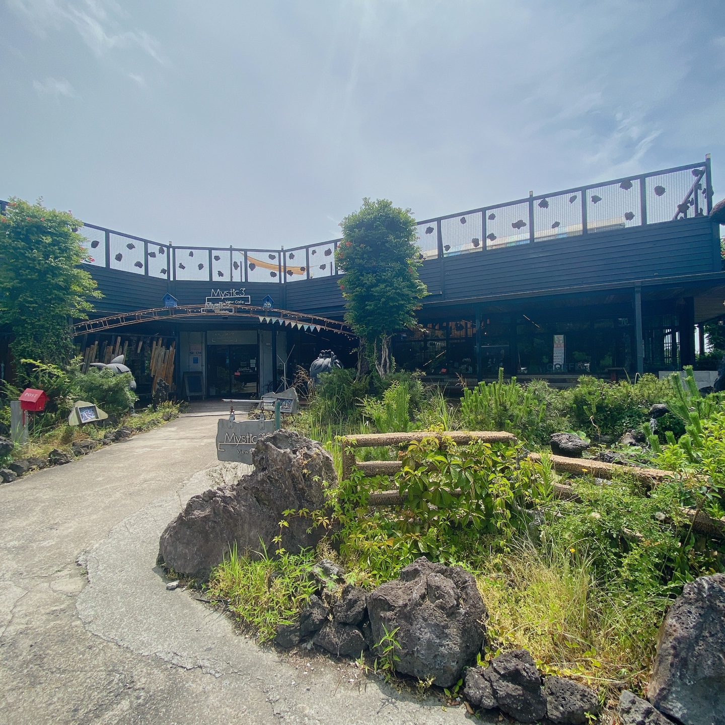 제주 노형동 러브랜드 정원카페 미스틱3도 피크닉 한라봉 흑돼지