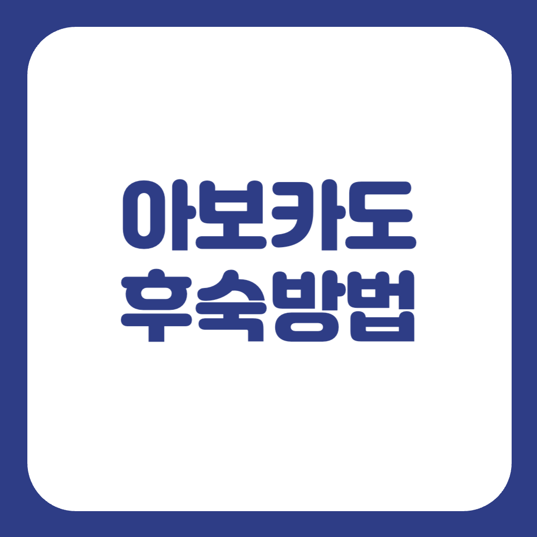 아보카도 후숙 방법