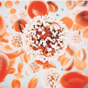 ADC 관련주 대장주 ADC 기술 주식 TOP5