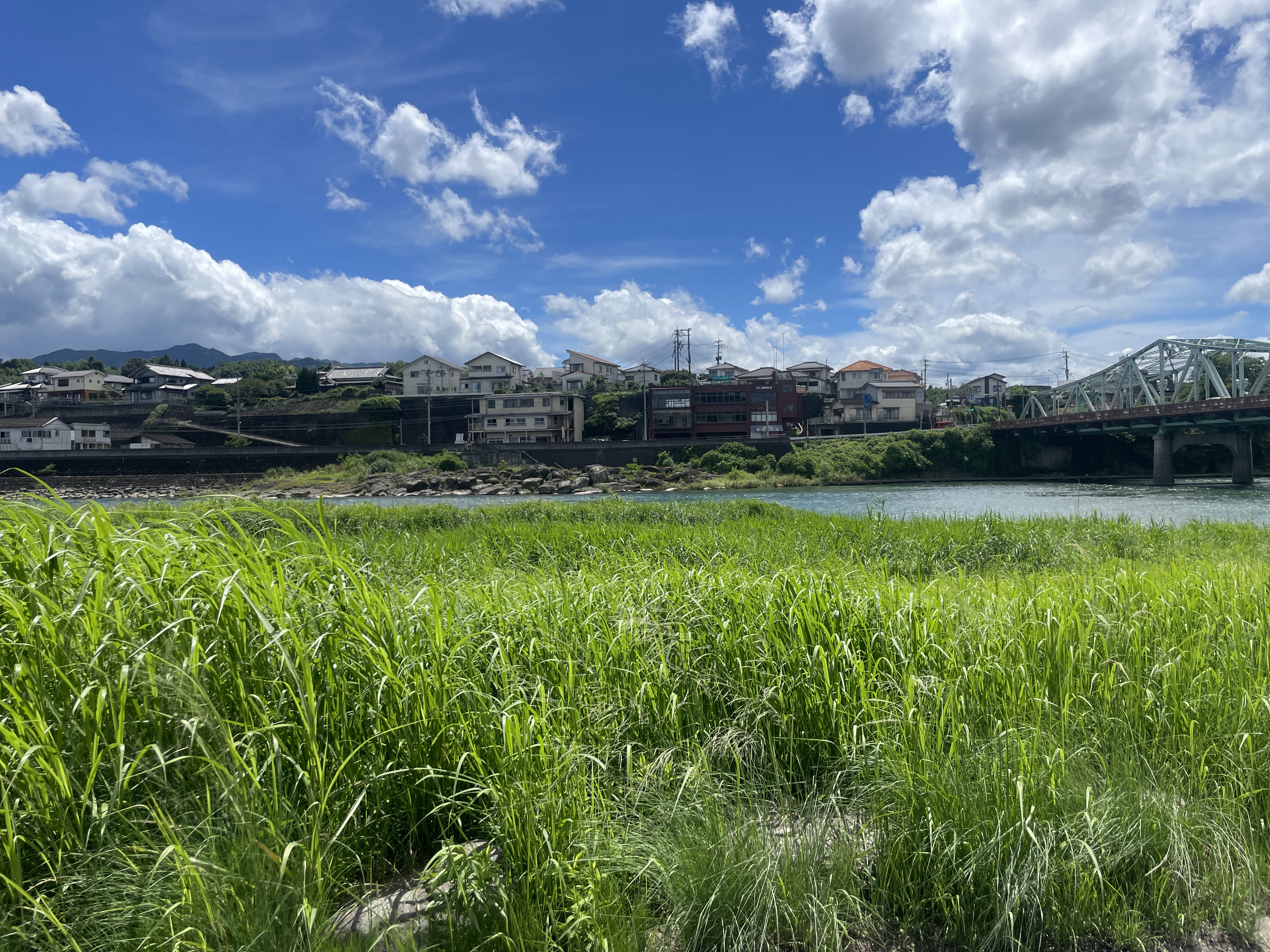 자전거 여행 관련