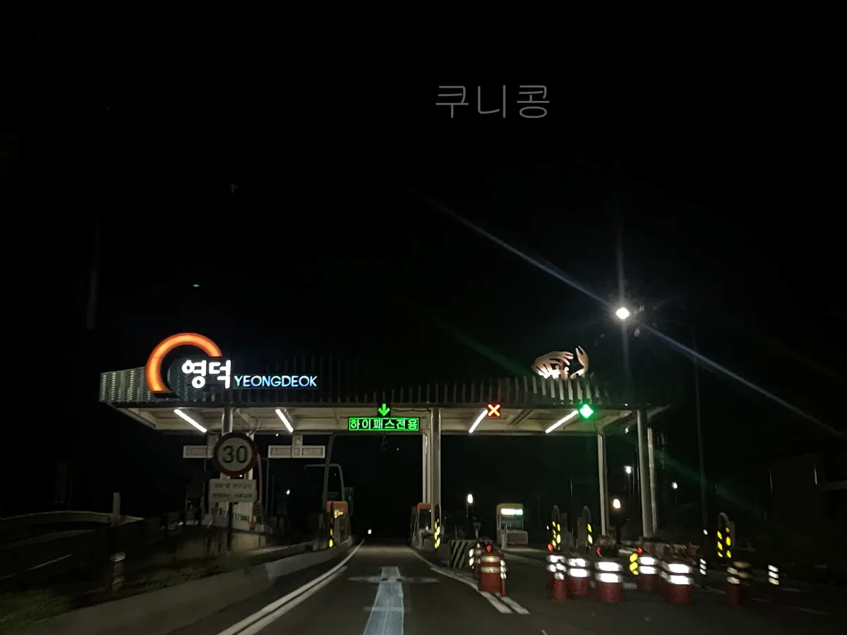 울릉도-2박3일-가족여행-후포항-울릉썬플라워-크루즈-차량선적-배편가격-발권꿀팁