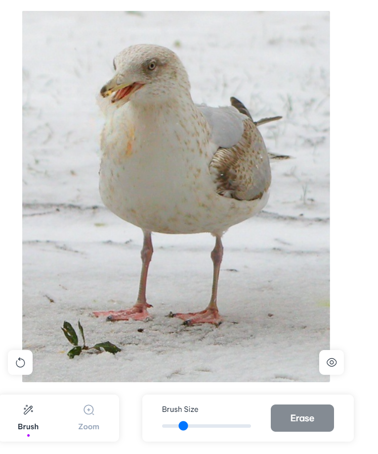 입에-문-도너츠가-사라졌습니다