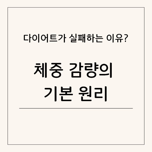 건강한 다이어트의 기본 원리 이해하기