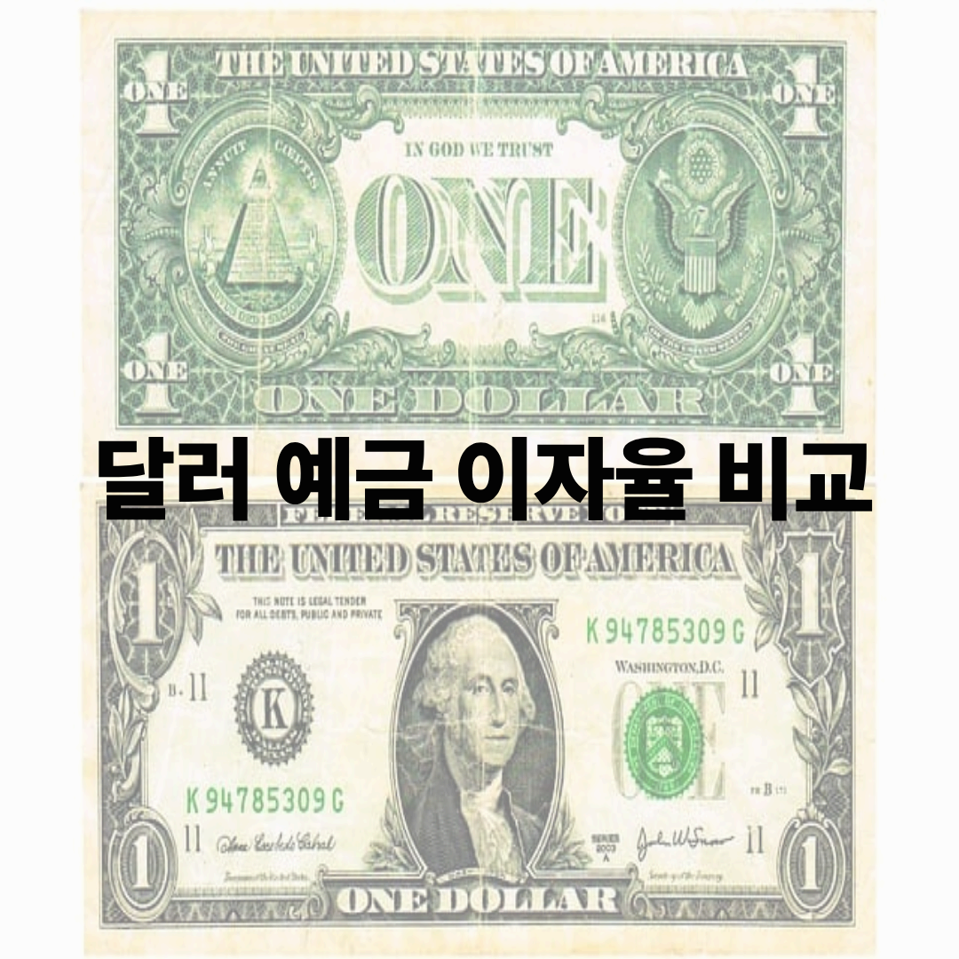 달러 예금 이자율 비교: 2025년 은행별 금리와 투자 전략 가이드