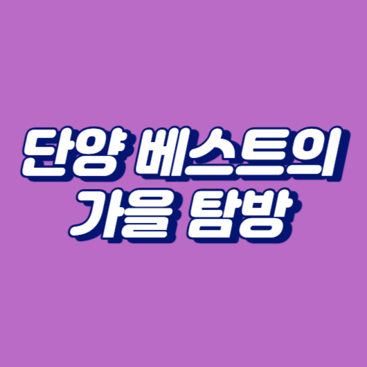 단양 베스트의 가을 탐방