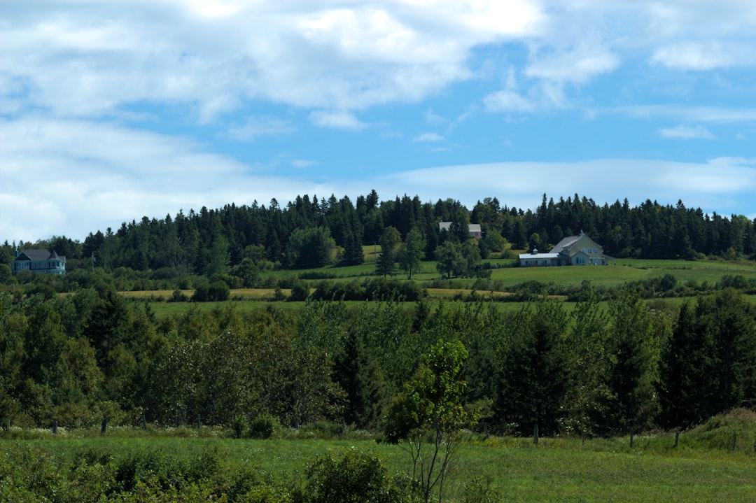Mapleland