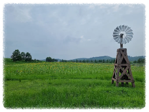 용안생태습지공원