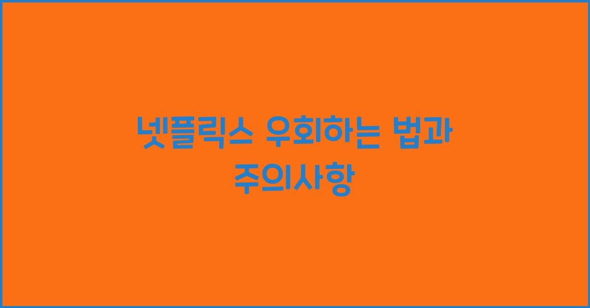넷플릭스 우회
