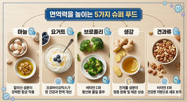 면역력 높이는 5가지 슈퍼푸드