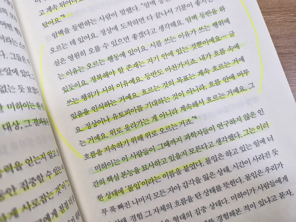 도둑맞은-집중력-책-내용-흐르는-것에-대한-목표는-흐르는것