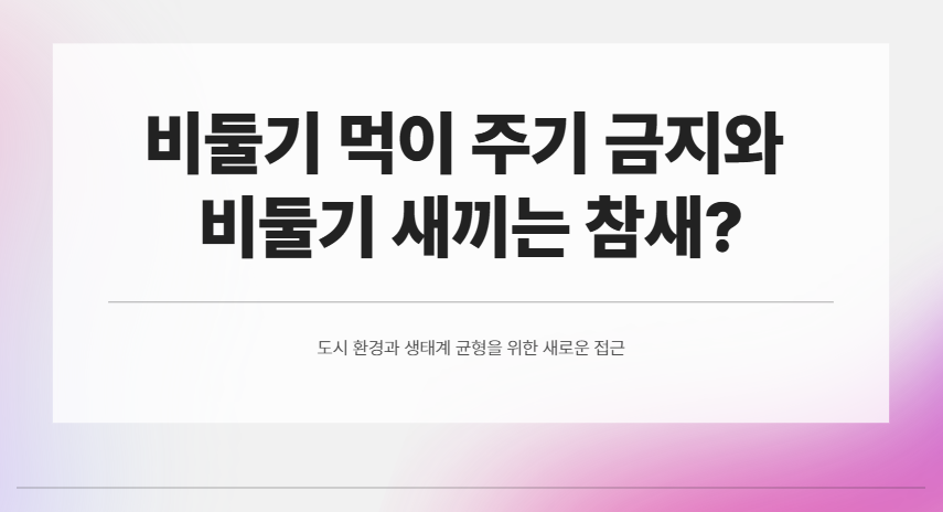 비둘기 먹이주기 금지