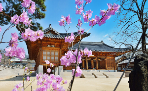 경복궁 야간관람