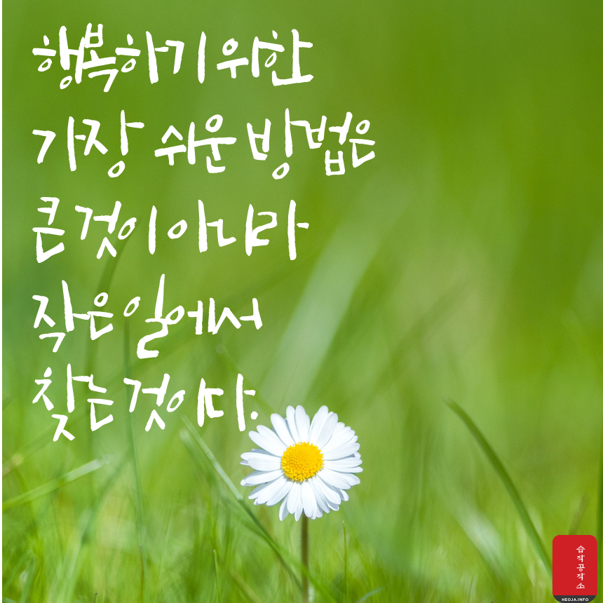 행복에 관한 짧고 좋은 글귀 명언 문구 모음