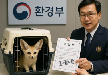 한국 특수반려동물 허용종으로 사막여우가 승인받는 모습