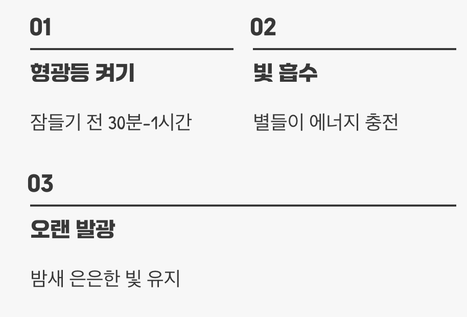 5. 낮 동안의 '충전'이 가장 중요해요