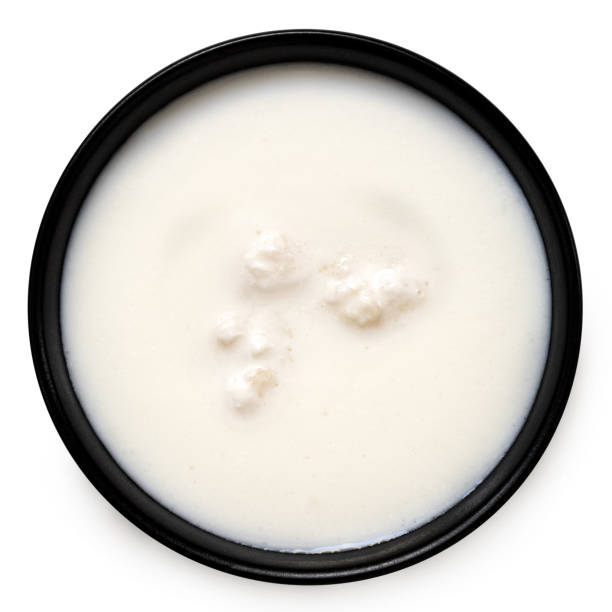 케피어(Kefir) 효능